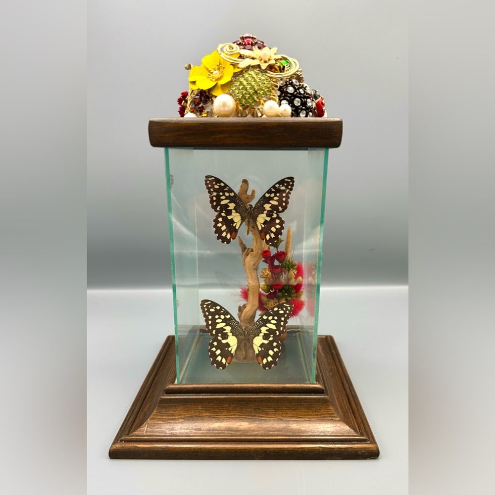 Vintage Skinner Butterfly Taxidermy Display with Jewelry Garden Topper Curio Art